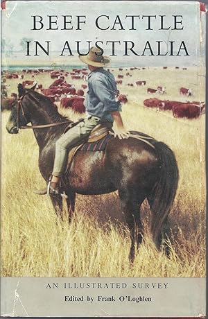 Beef Cattle In Australia 1956 : an illustrated survey of the Beef Cattle Industry