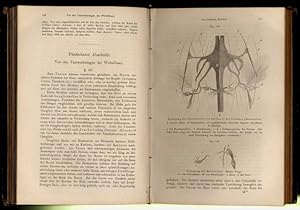 Lehrbuch der Histologie des Menschen und der Thiere.