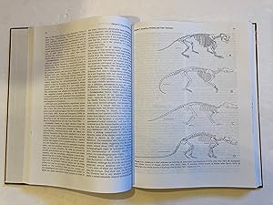 MAMMAL PHYLOGENY: PLACENTALS