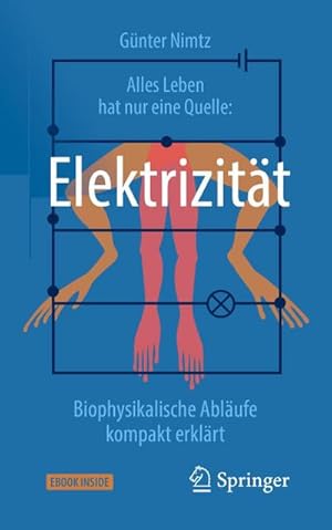Bild des Verkufers fr Alles Leben hat nur eine Quelle: Elektrizitt : Biophysikalische Ablufe kompakt erklrt zum Verkauf von AHA-BUCH GmbH