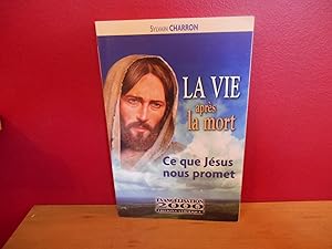 Bild des Verkufers fr LA VIE APRES LA MORT CE QUE JESUS NOUS PROMET zum Verkauf von La Bouquinerie  Dd