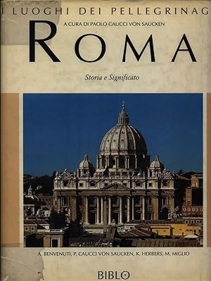 Seller image for I Luoghi di Pellegrinaggi: Roma - Storia e significato for sale by Librodifaccia