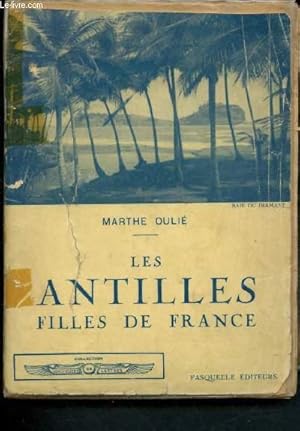 Bild des Verkufers fr Les Antilles : filles de France zum Verkauf von Le-Livre