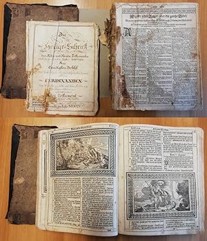 Die Heilige Schrift des Alten und Neuen Testamentes. Nach der letzten Römischen Sixtiner Edition.