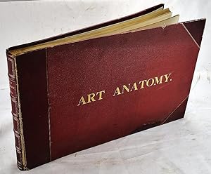 Immagine del venditore per Art Anatomy venduto da Sequitur Books