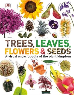 Bild des Verkufers fr Our World in Pictures: Trees, Leaves, Flowers & Seeds : A visual encyclopedia of the plant kingdom zum Verkauf von AHA-BUCH GmbH