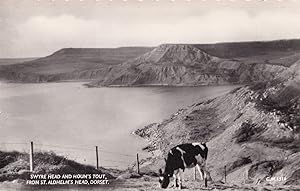 Swyre Head Houns Tot Aerial Rare Vintage Real Photo Dorset Postcard