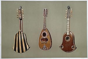 Gitarre (drei Instrumente mit 8 bzw, 10 Saiten) / three Guitars (with 8 or 10 strings) / trois Gu...