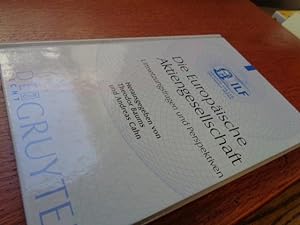 Seller image for Die Europische Aktiengesellschaft Umsetzugsfragen und Perspektiven. (Institute for Law and Finance) (German Edition) for sale by suspiratio - online bcherstube