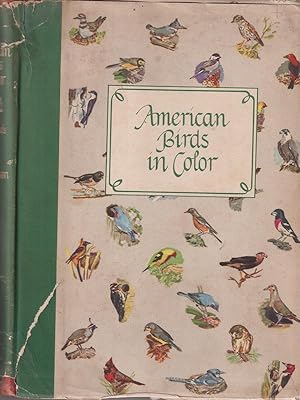 American birds in color