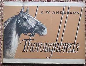 THOROUBREDS