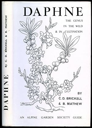 Seller image for Daphne; The Genus in The Wild [An Alpine Garden Society Guide] for sale by Little Stour Books PBFA Member