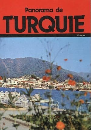 Seller image for Panorama de Turquie - M Orhan Bayrak for sale by Book Hmisphres