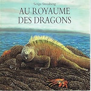 Au royaume des dragons - Serg Strosberg