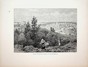 Forêt de Fontainebleau, France, vue ca. 1875