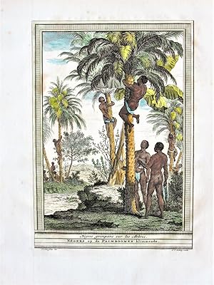 Seller image for Antique Copperplate Engraving. Negres Grimpans sur les Arbres for sale by Ken Jackson