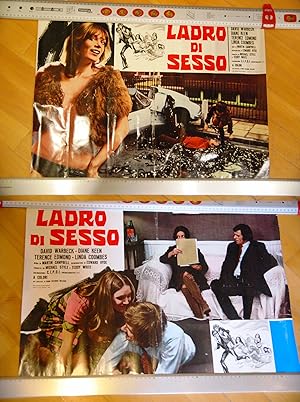 Seller image for 2 poster ladro di sesso for sale by STUDIO PRESTIFILIPPO NUNZINA MARIA PIA