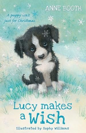 Bild des Verkufers fr Lucy Makes a Wish zum Verkauf von GreatBookPrices
