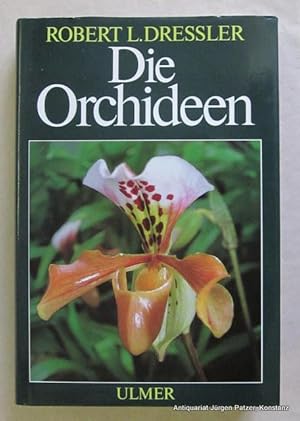 Imagen del vendedor de Die Orchideen. Biologie und Systematik der Orchidaceae. Aus dem Englinschen von Guido J. Braem. Unter Mitwirkung von Marion Zerbst. Stuttgart, Ulmer, 1987. Mit zahlreichen farbigen fotografischen Tafelabbildungen u. Illustrationen im Text. 394 S., 1 Bl. Or.-Lwd. mit Schutzumschlag. (ISBN 3800163314). a la venta por Jrgen Patzer