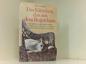 Das Kätzchen, das aus dem Regen kam - Was ein Katzenban wider Willen mit seinem neuen Hausgenosse...