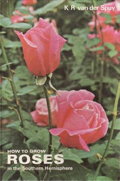 How to Grow Roses in the Southern Hemisphere