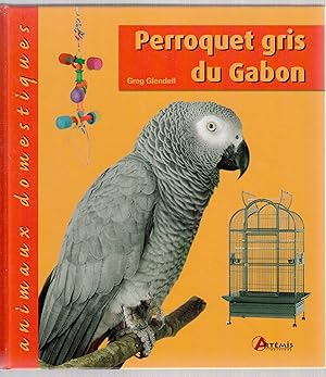 Image du vendeur pour Perroquet gris du Gabon mis en vente par LibrairieLaLettre2