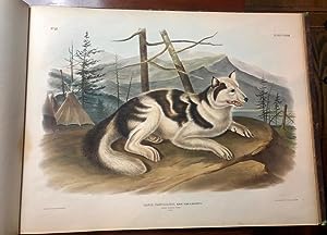 Seller image for The Viviparous Quadrupeds of North America. for sale by Arader Galleries - AraderNYC