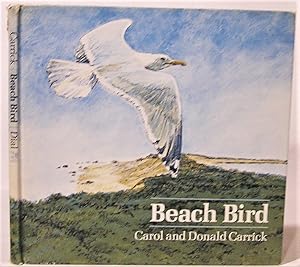 Beach Bird