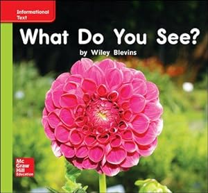 Imagen del vendedor de What Do You See? a la venta por GreatBookPrices