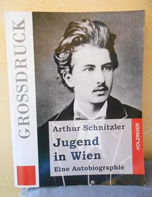 Jugend in Wien  eine Autobiographie (Großdruck)
