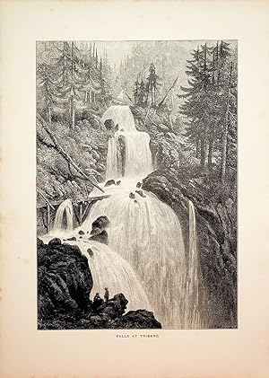 Triberg im Schwarzwald, Triberger Wasserfälle, Baden-Württemberg Ansicht ca. 1875