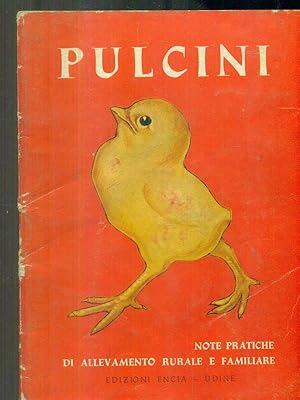 Pulcini