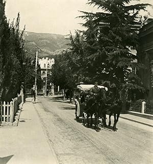 Russia Crimea Yalta Jalta Catherine Street Old NPG Stereo Photo 1900