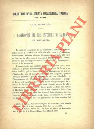 Seller image for I Gasteropodi del Lias inferiore di Saltrio in Lombardia. for sale by Libreria Piani