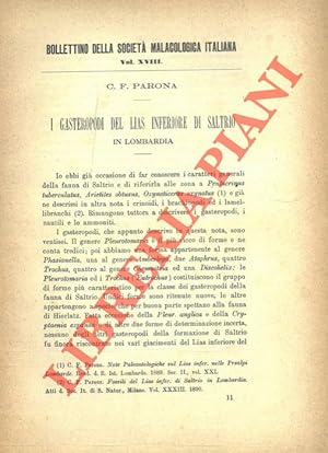 I Gasteropodi del Lias inferiore di Saltrio in Lombardia.
