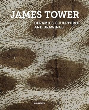 Immagine del venditore per James Tower : Ceramics, Sculptures and Drawings venduto da GreatBookPrices