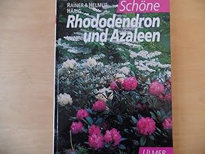 Schöne Rhododendron und Azaleen.