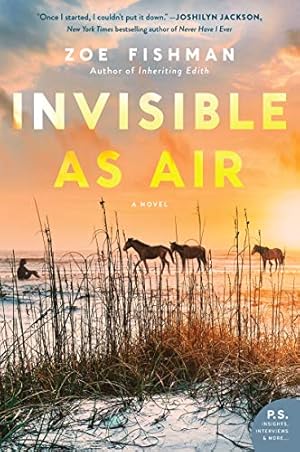 Seller image for Invisible as Air: A Novel by Fishman, Zoe [Paperback ] for sale by booksXpress