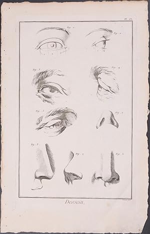 Eye, Nose Sketches