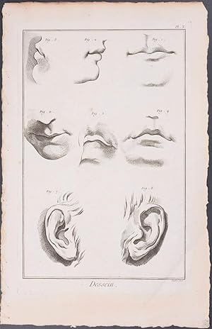 Ear, Mouth Sketches