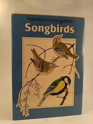 Seller image for Song Birds for sale by ANTIQUARIAT Franke BRUDDENBOOKS