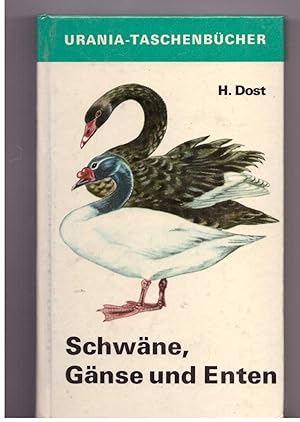 Seller image for Schwäne, Gänse und Enten. aus Urania- Taschenbücher for sale by Bücherpanorama Zwickau- Planitz