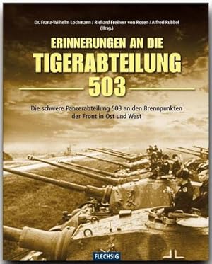 Seller image for Erinnerung an die Tiger-Abteilung 503 for sale by BuchWeltWeit Ludwig Meier e.K.