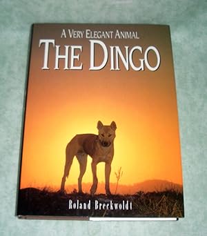 A very elegant animal. The Dingo.