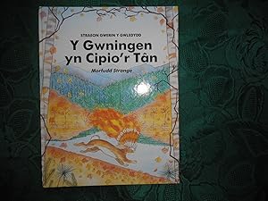 Seller image for Straeon Gwerin y Gwledydd: Y Gwningen yn Cipio'r Tan. (" How Rabbit Stole the Fire: A North American Indian Folk Tale. " - in Welsh) for sale by Sue Lloyd-Davies Books