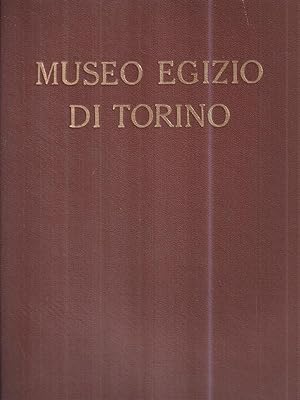 Seller image for Museo egizio di Torino for sale by Librodifaccia