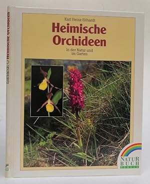 Immagine del venditore per Heimische Orchideen. In der Natur und im Garten. Mit zahlr. Abb. venduto da Der Buchfreund
