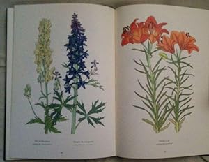 Alpenblumen. Kolorierte Holzschnitte. Botanische Erläuterungen von Friedrich Markgraf