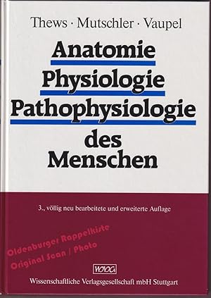 Anatomie, Physiologie, Pathophysiologie des Menschen - Thews / Mutschler / Vaupel