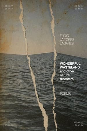 Imagen del vendedor de Wonderful Wasteland and Other Natural Disasters : Poems a la venta por GreatBookPrices